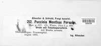 Image Associated With the Occurence